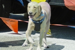 190622_5Krun_EastGoshen-278